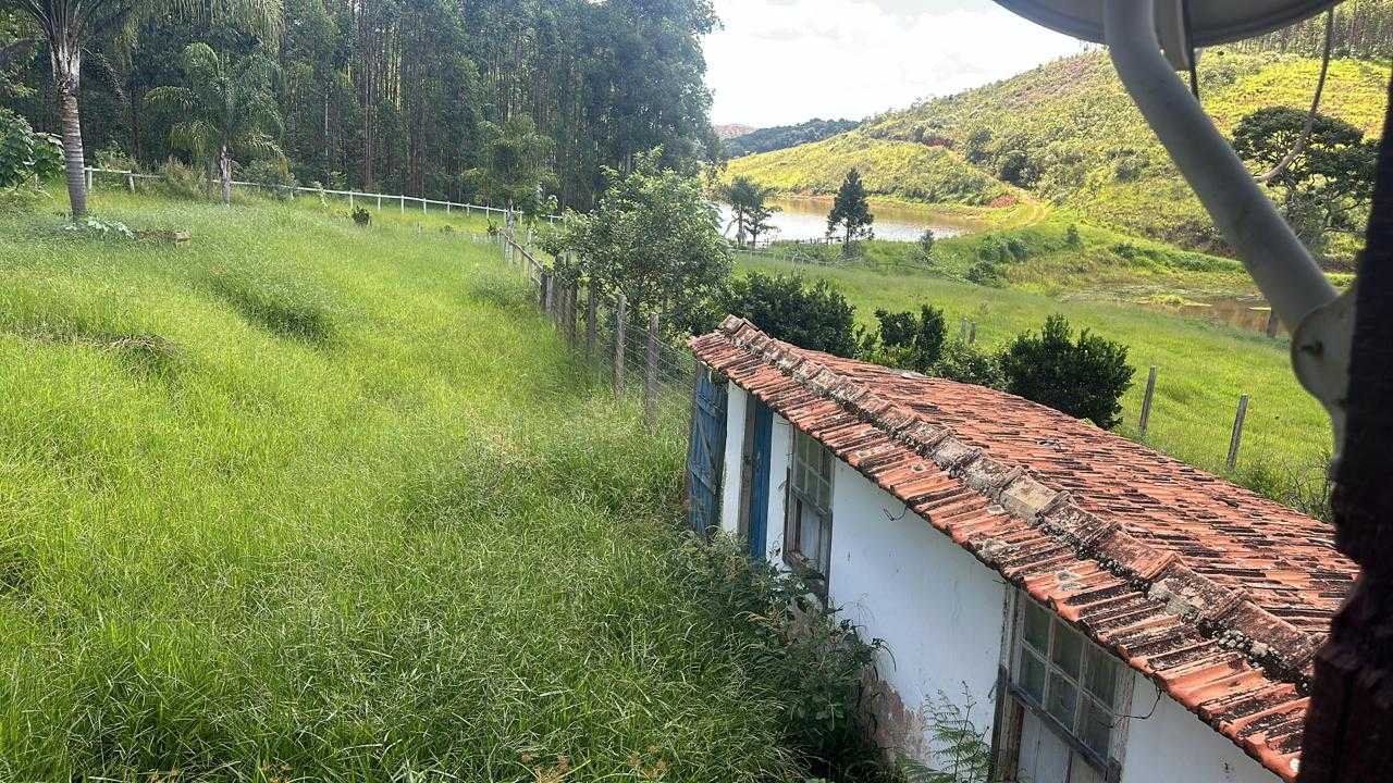 Chácara à venda com 4 quartos, 2510000m² - Foto 4