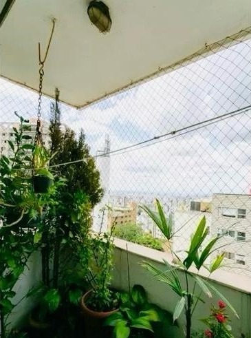 Apartamento à venda com 3 quartos, 85m² - Foto 23