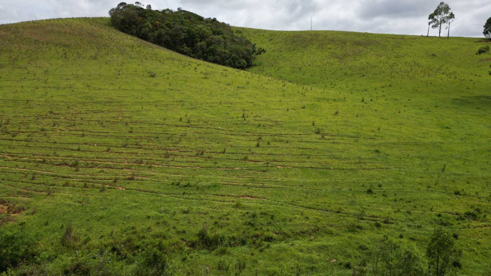 Chácara à venda com 2 quartos, 5400000m² - Foto 7