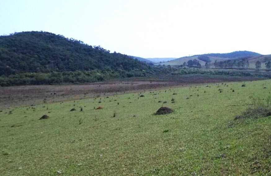 Chácara à venda com 2 quartos, 5400000m² - Foto 14