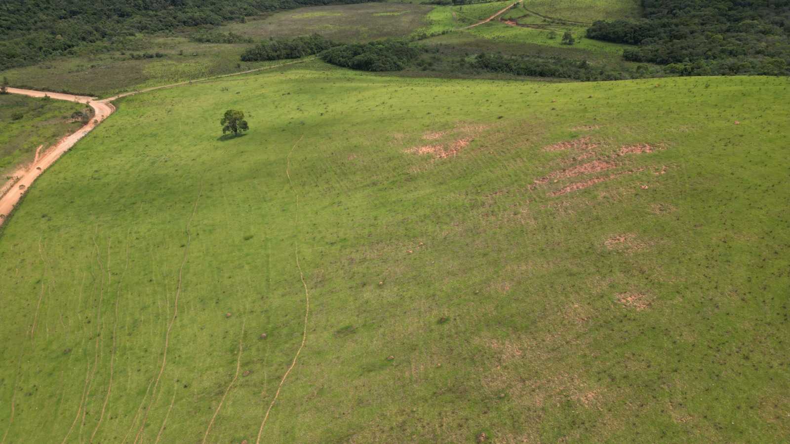 Chácara à venda com 2 quartos, 5400000m² - Foto 11