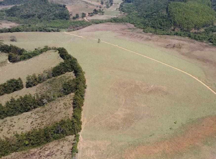 Chácara à venda com 2 quartos, 5400000m² - Foto 10