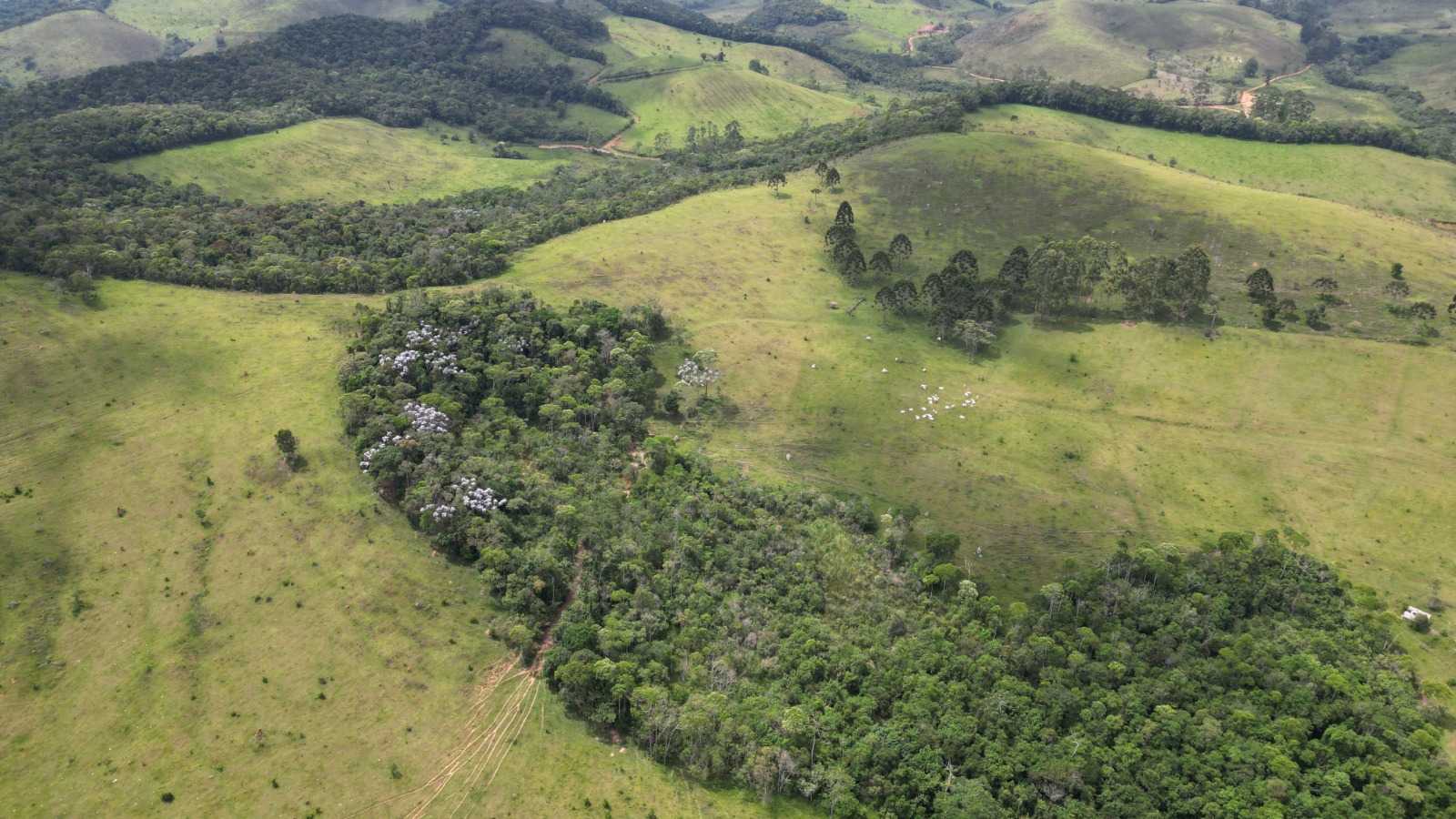 Chácara à venda com 2 quartos, 5400000m² - Foto 21