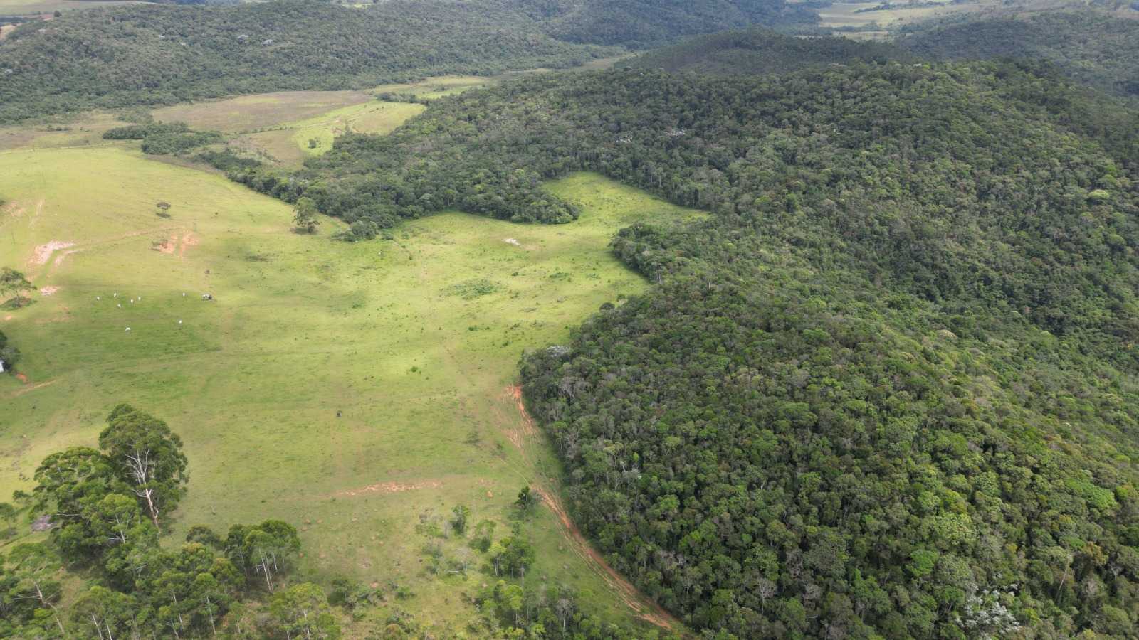 Chácara à venda com 2 quartos, 5400000m² - Foto 13