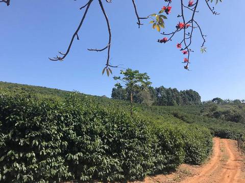 Chácara à venda com 3 quartos, 242000m² - Foto 17