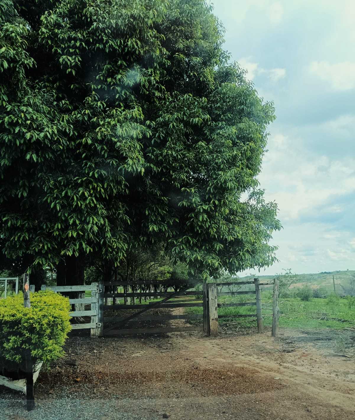 Chácara à venda com 4 quartos, 7180000m² - Foto 18