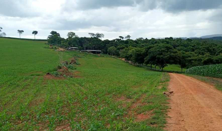 Chácara à venda com 4 quartos, 6530000m² - Foto 2