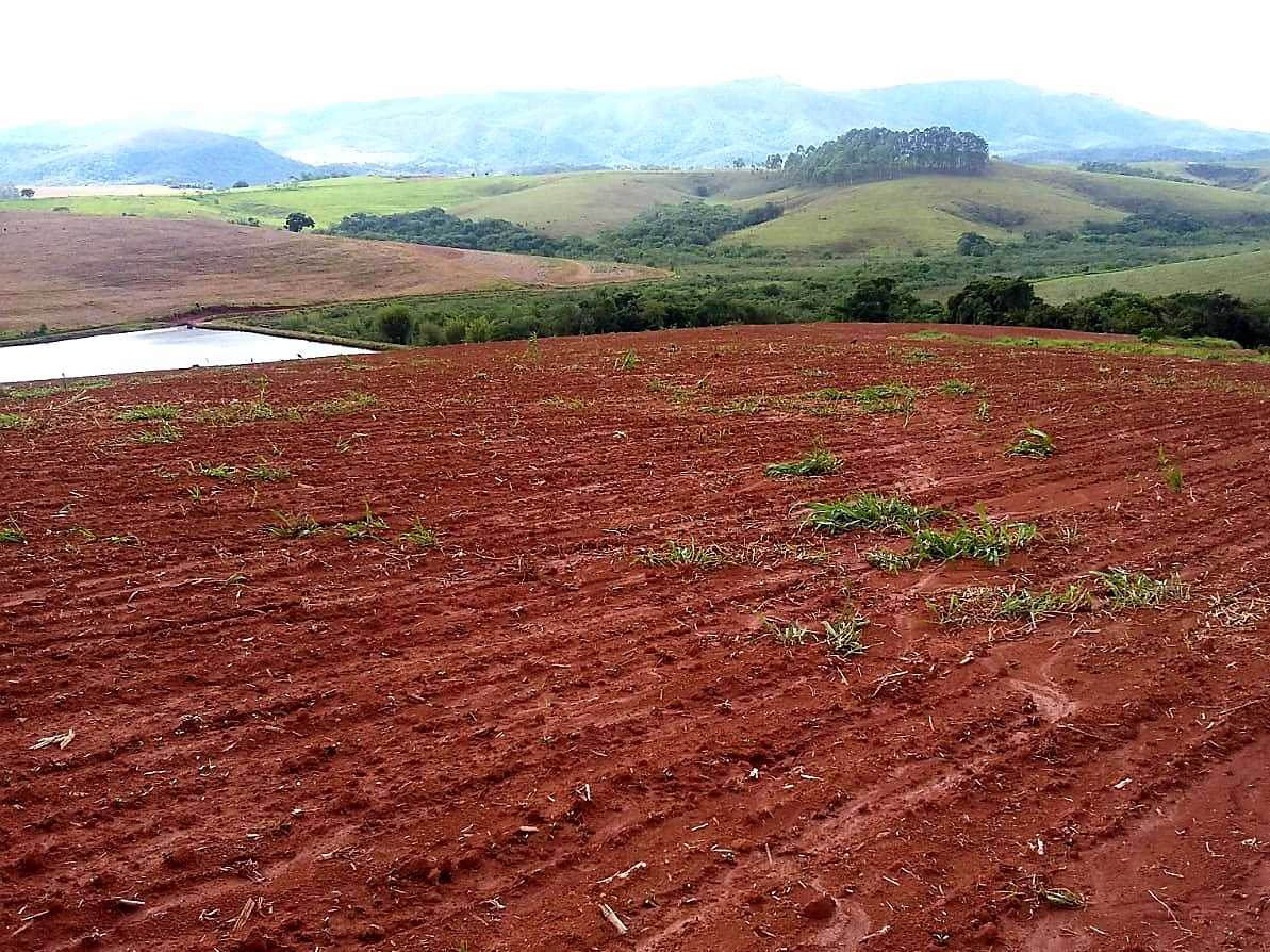 Chácara à venda com 4 quartos, 6530000m² - Foto 6