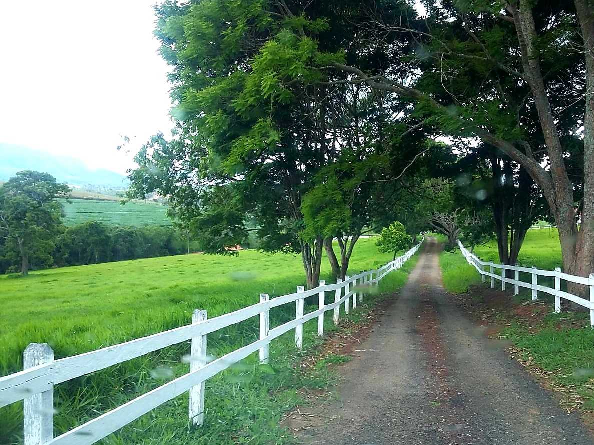 Chácara à venda com 4 quartos, 6530000m² - Foto 3