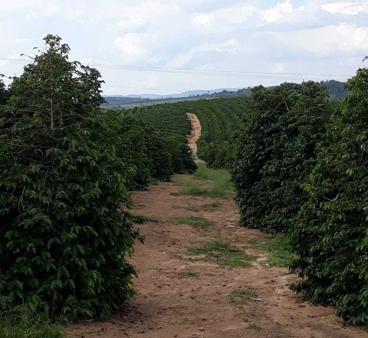 Chácara à venda com 4 quartos, 1140000m² - Foto 2