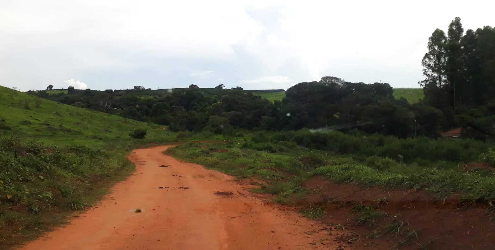 Chácara à venda com 4 quartos, 1140000m² - Foto 25