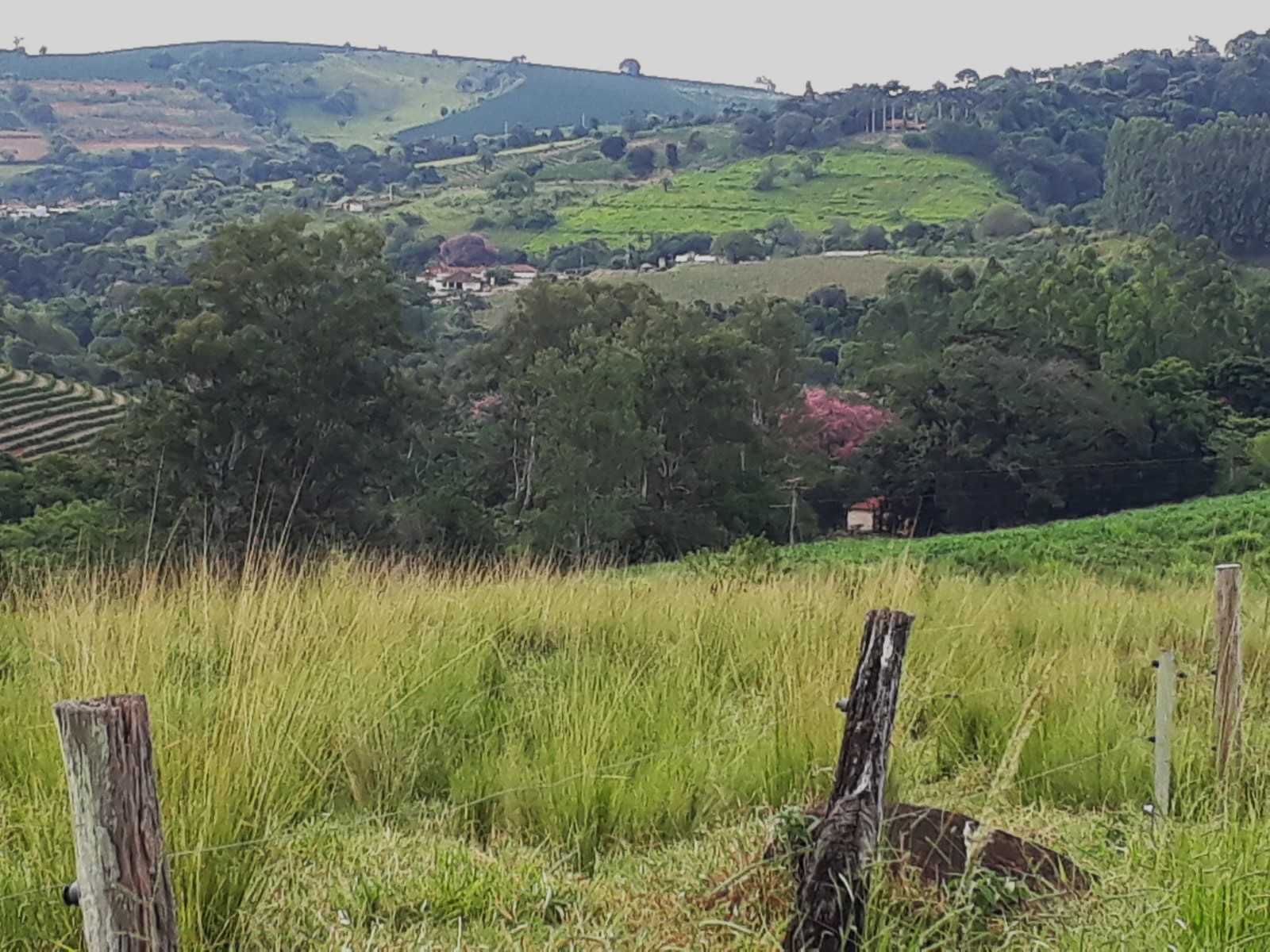 Chácara à venda com 4 quartos, 1140000m² - Foto 13