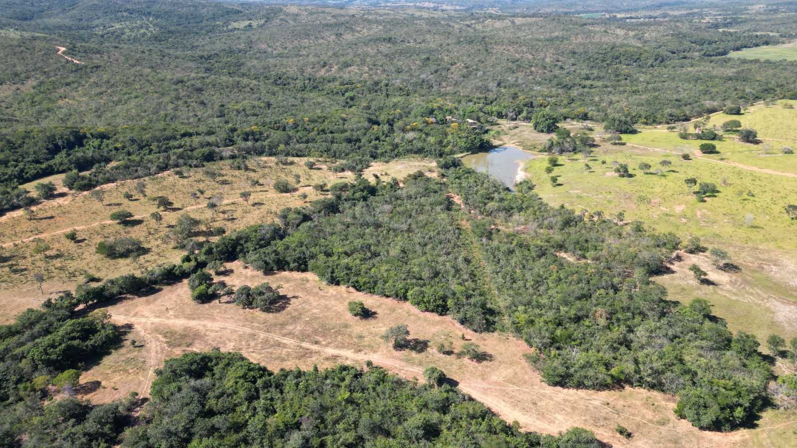 Chácara à venda com 4 quartos, 8130000m² - Foto 4