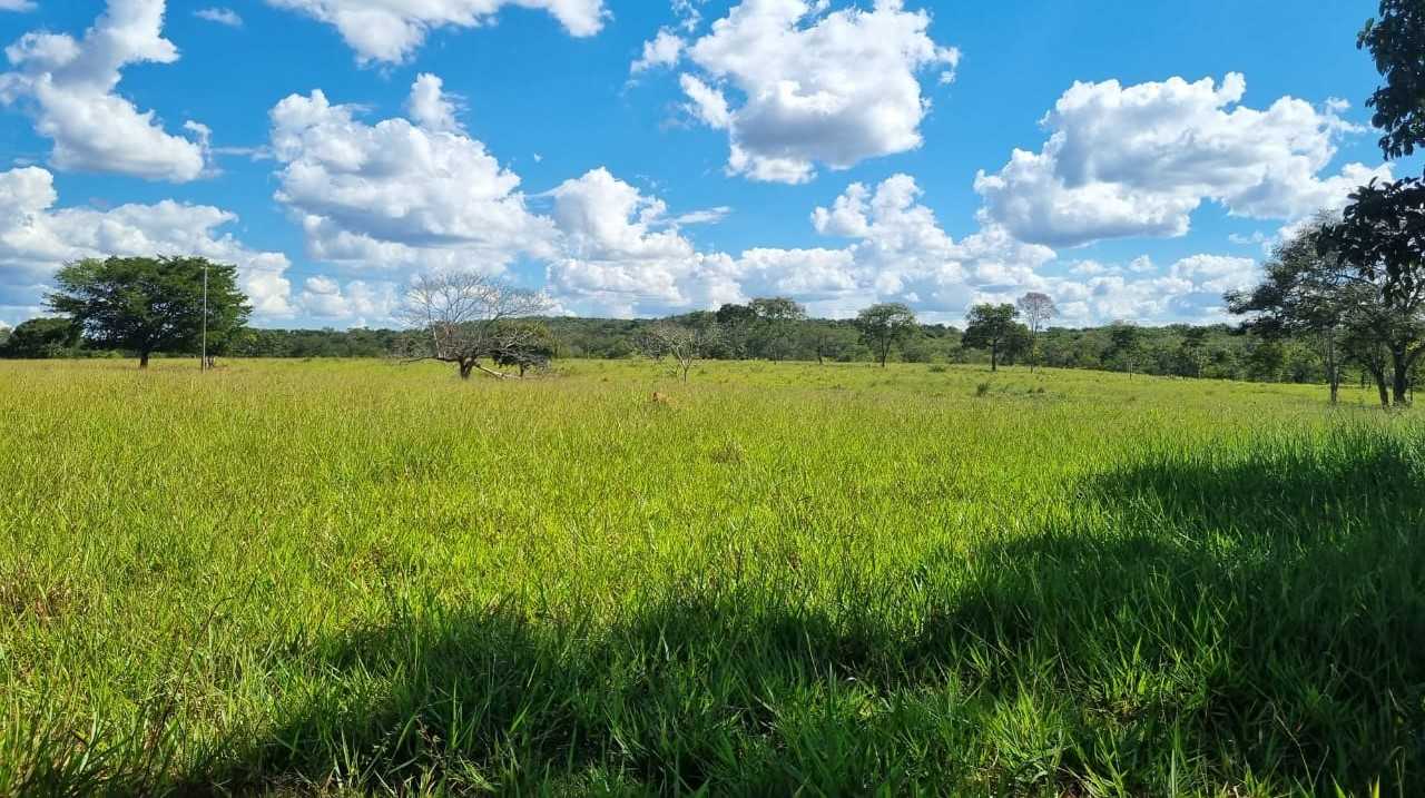 Chácara à venda com 4 quartos, 8130000m² - Foto 1