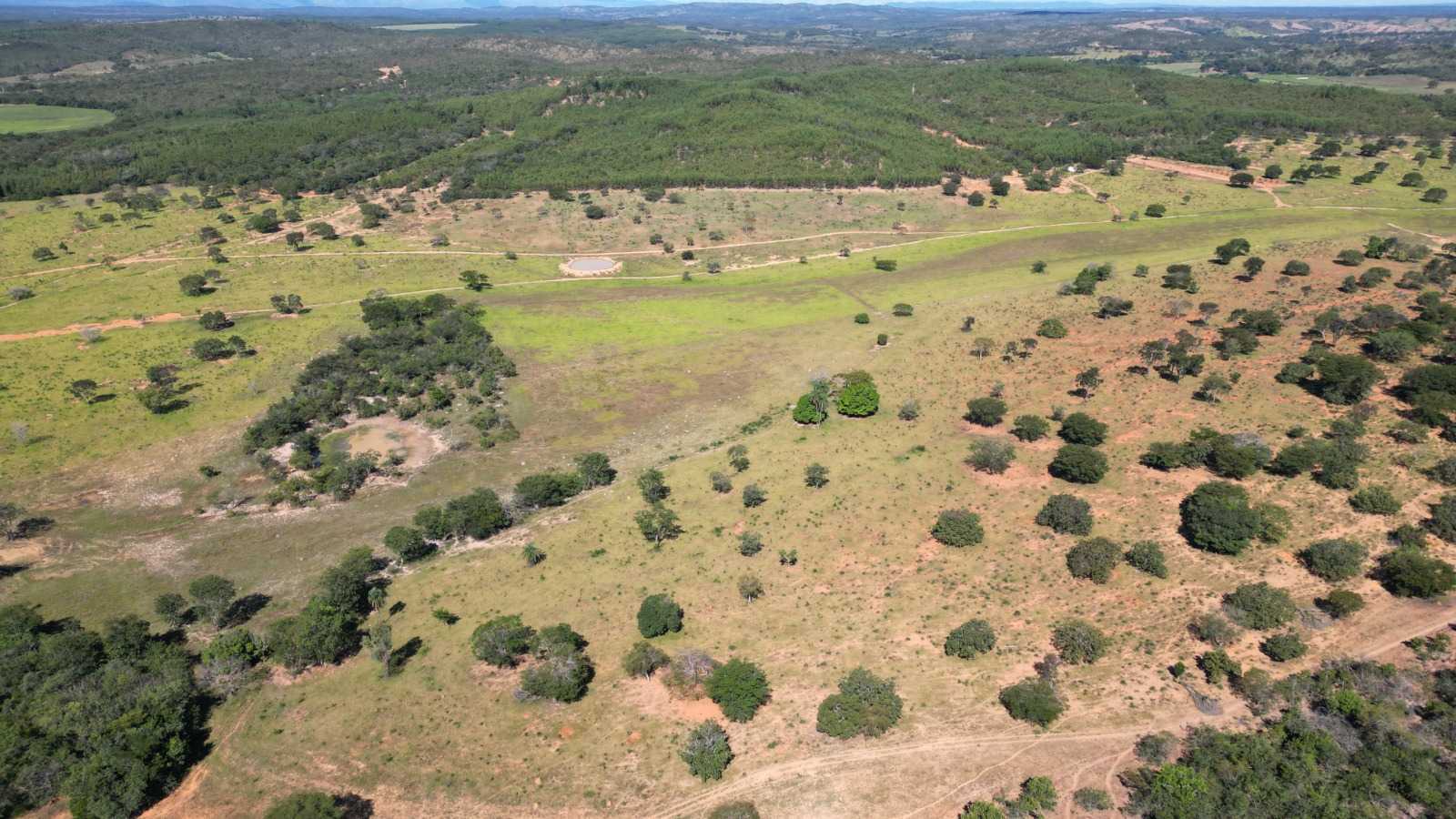 Chácara à venda com 4 quartos, 8130000m² - Foto 7