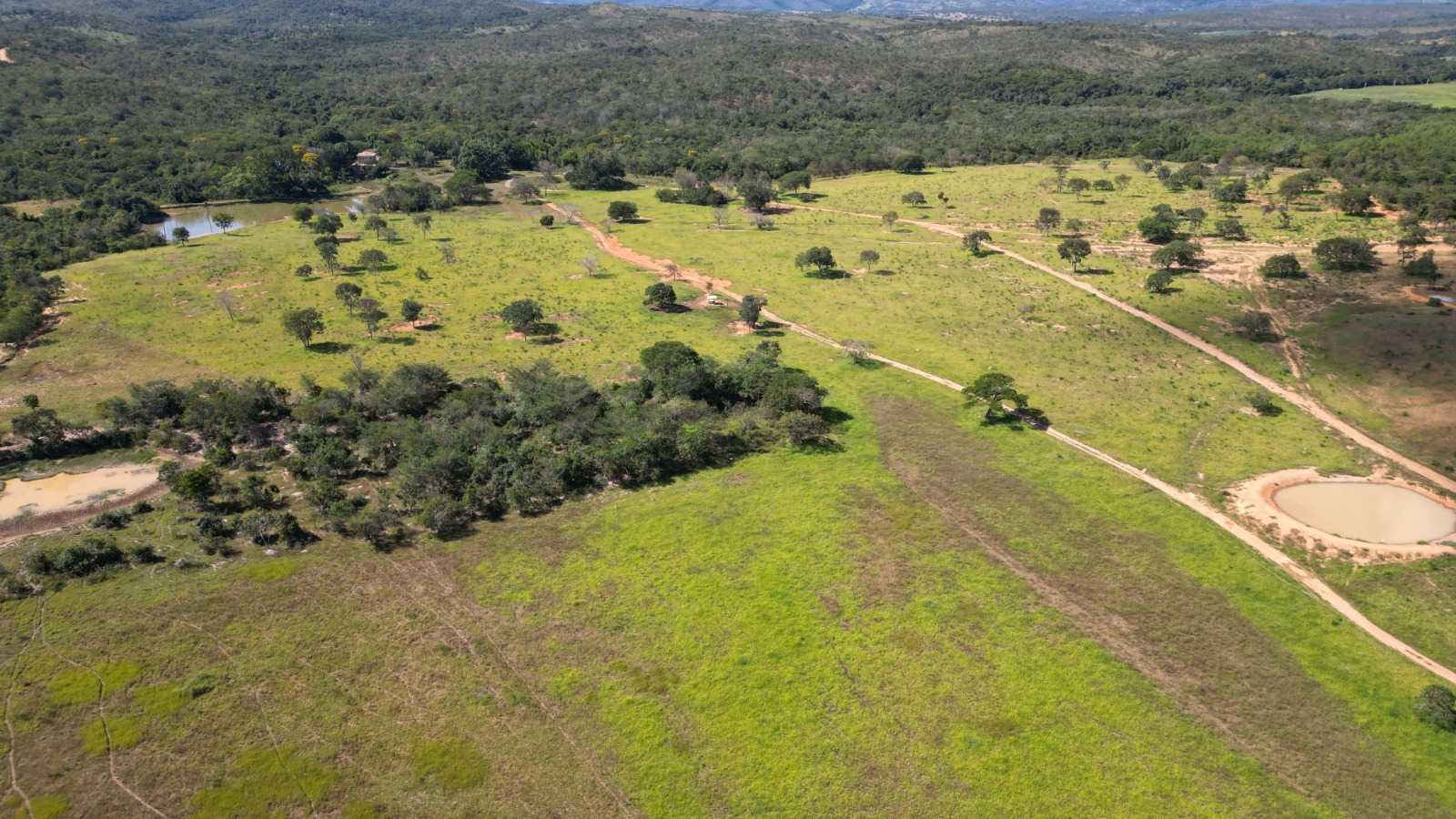 Chácara à venda com 4 quartos, 8130000m² - Foto 3