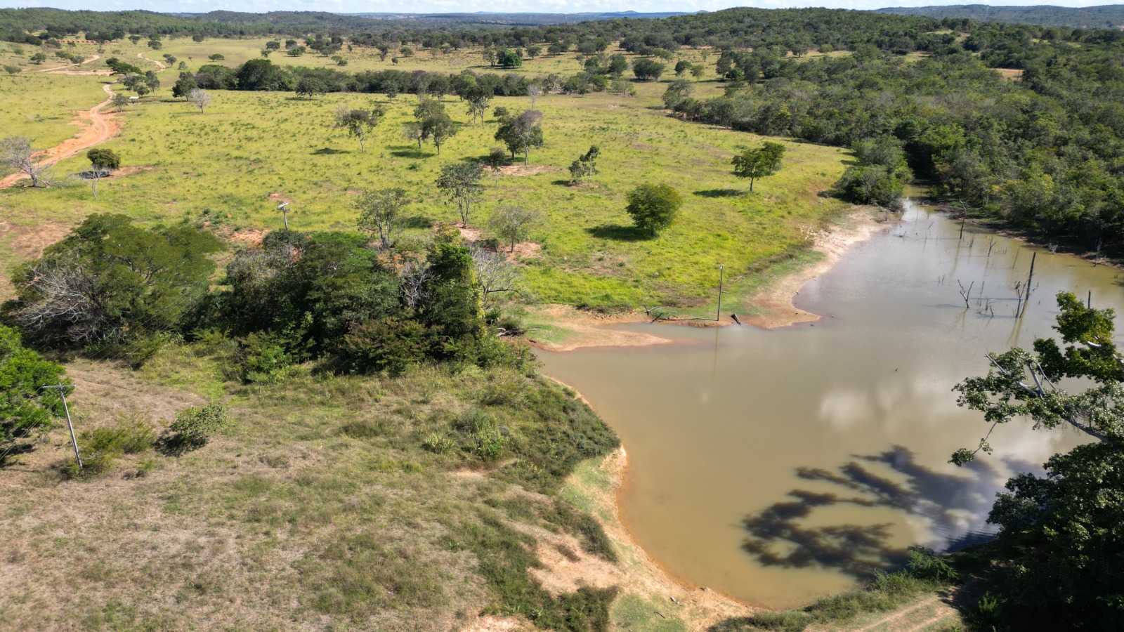 Chácara à venda com 4 quartos, 8130000m² - Foto 5