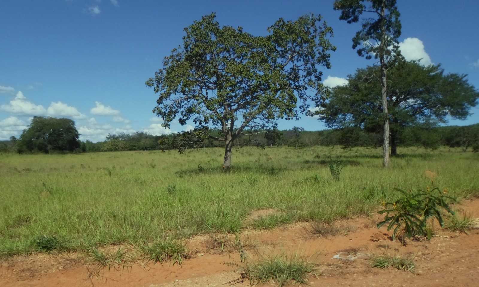 Chácara à venda com 4 quartos, 8130000m² - Foto 9