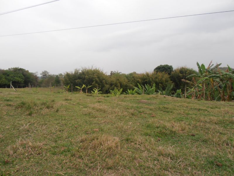 Terreno à venda, 60m² - Foto 3