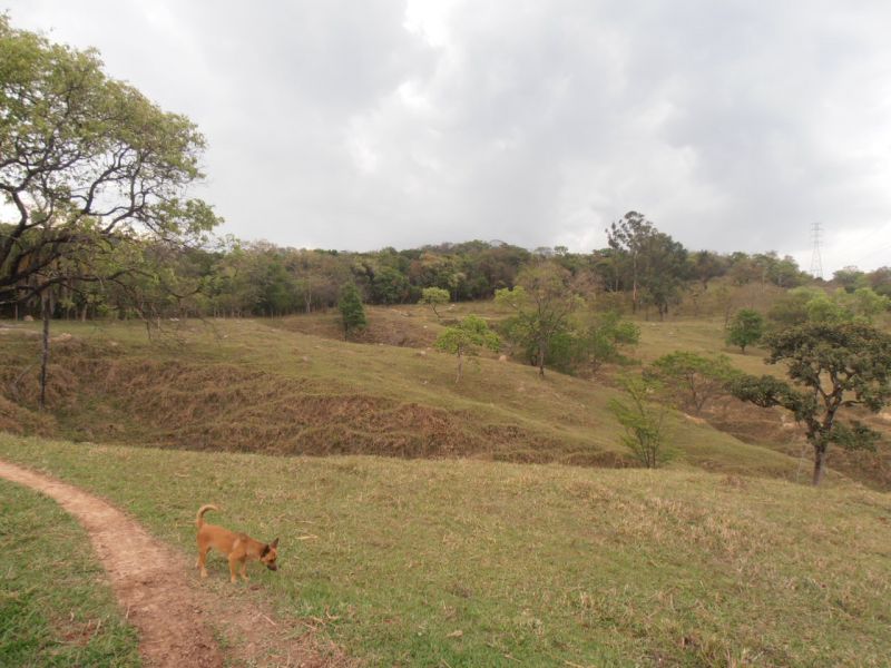 Terreno à venda, 60m² - Foto 10