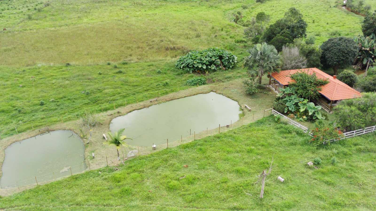 Chácara à venda com 4 quartos, 60000m² - Foto 10