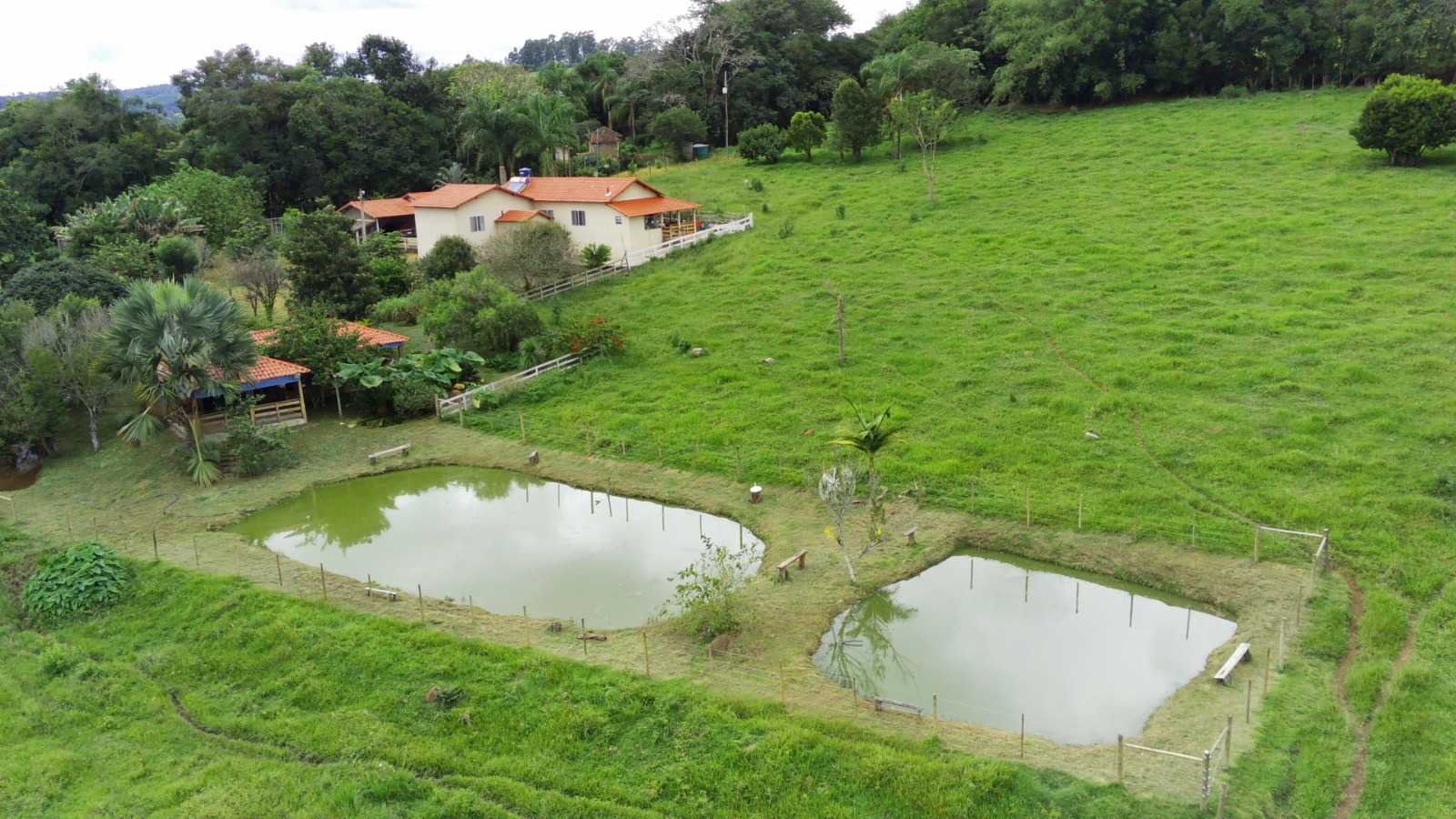 Chácara à venda com 4 quartos, 60000m² - Foto 11