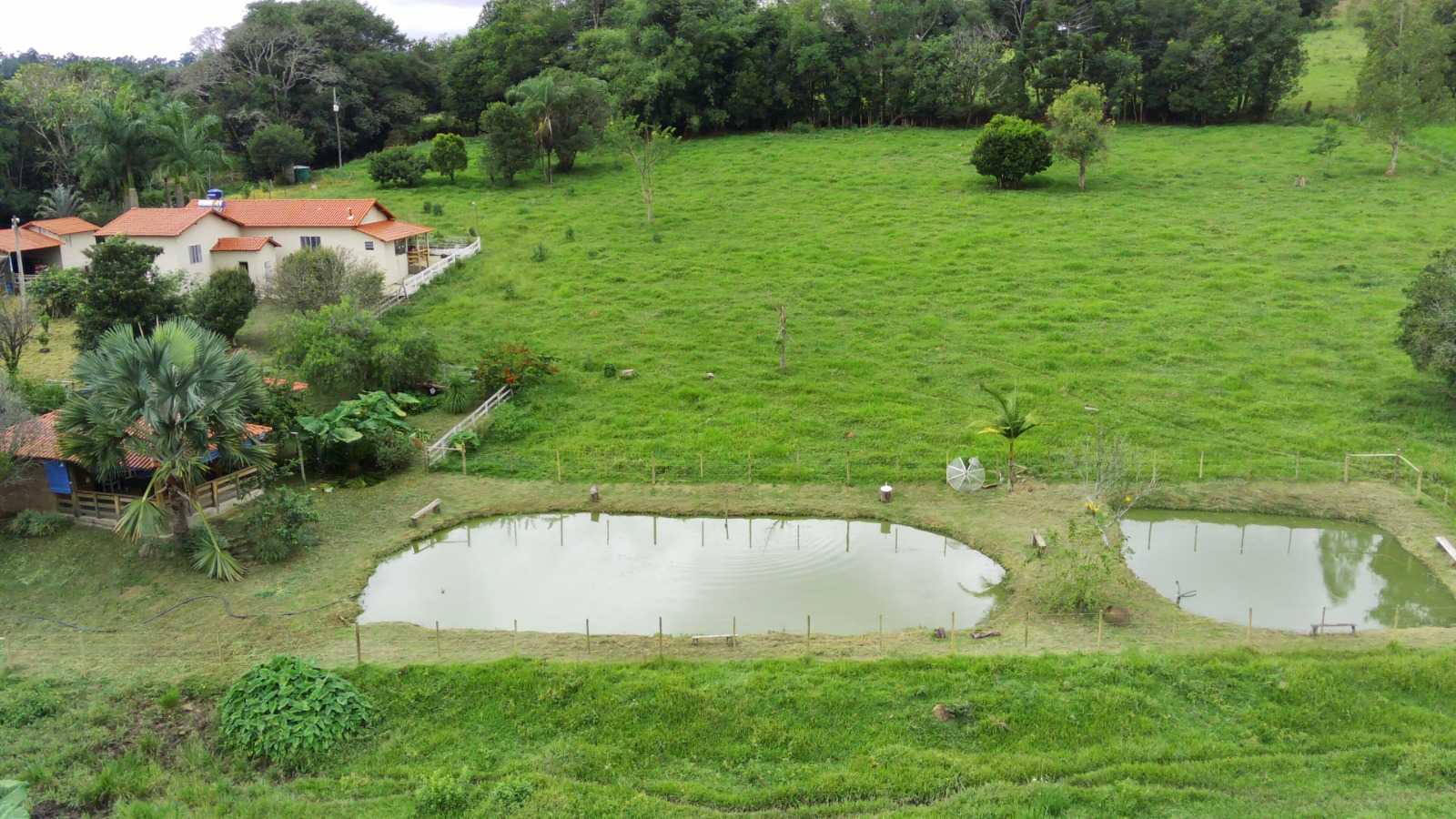 Chácara à venda com 4 quartos, 60000m² - Foto 12