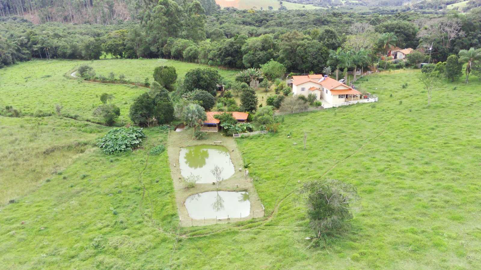 Chácara à venda com 4 quartos, 60000m² - Foto 15