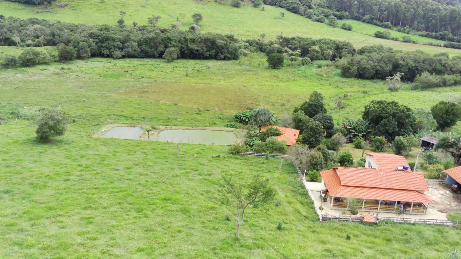 Chácara à venda com 4 quartos, 60000m² - Foto 5