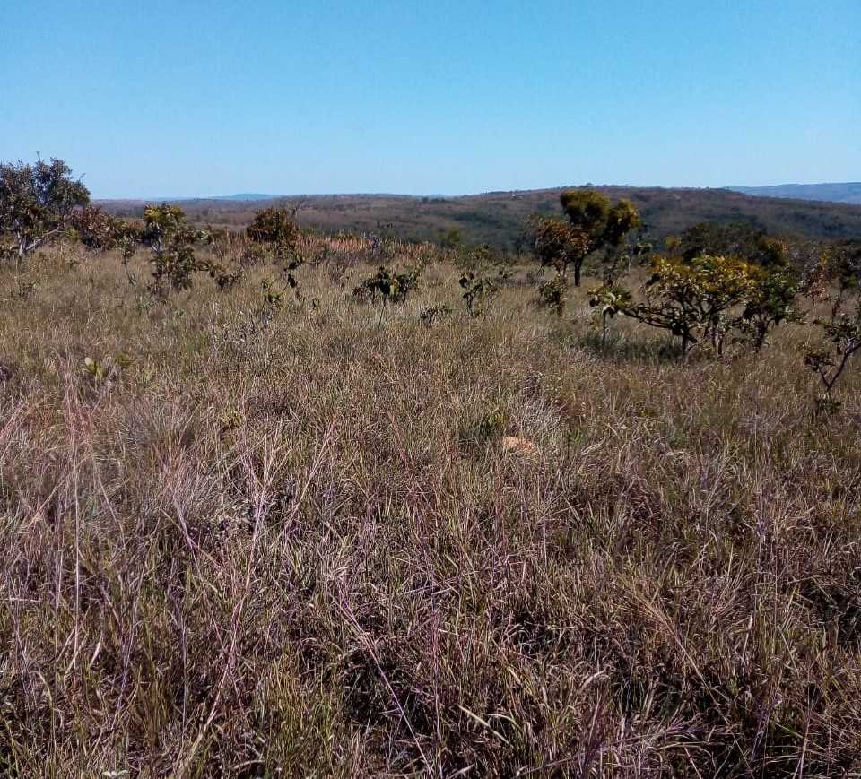 Chácara à venda com 3 quartos, 7230000m² - Foto 10