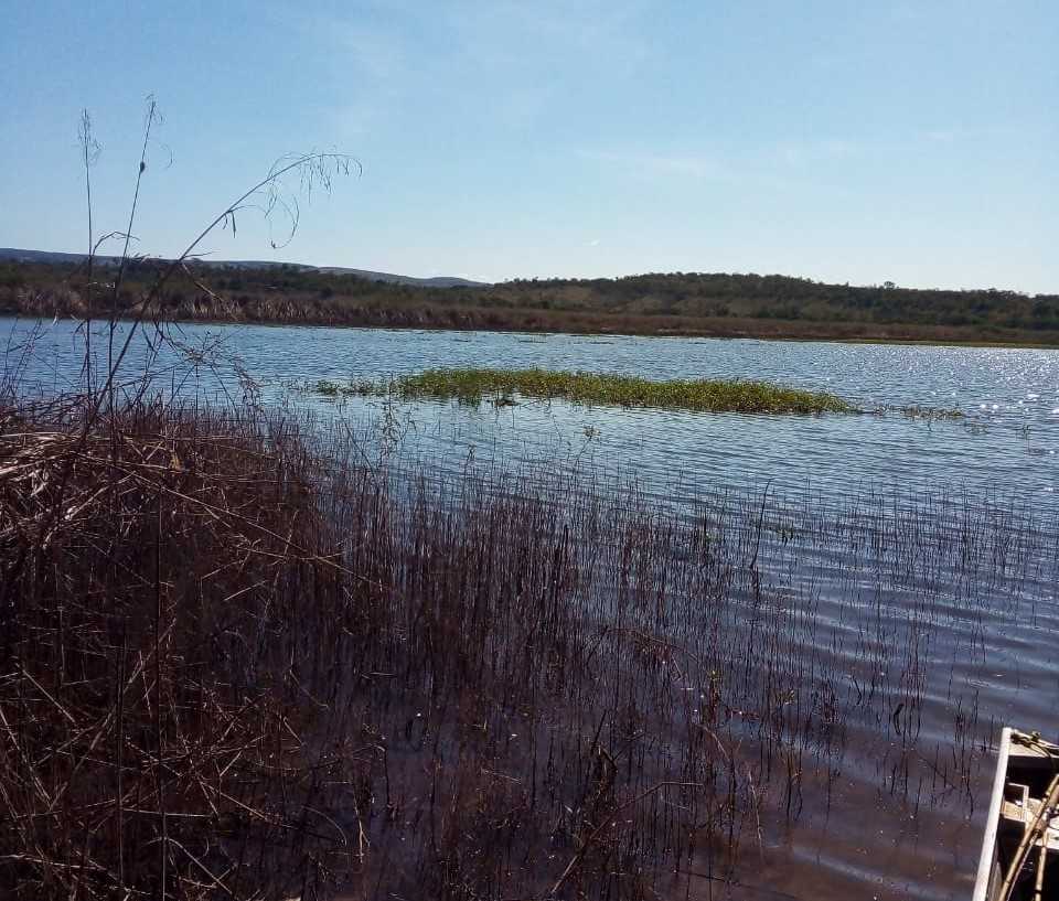 Chácara à venda com 3 quartos, 7230000m² - Foto 8