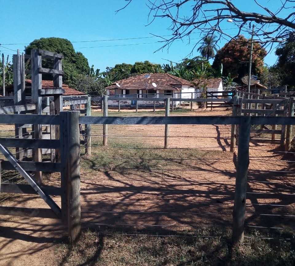 Chácara à venda com 3 quartos, 7230000m² - Foto 3