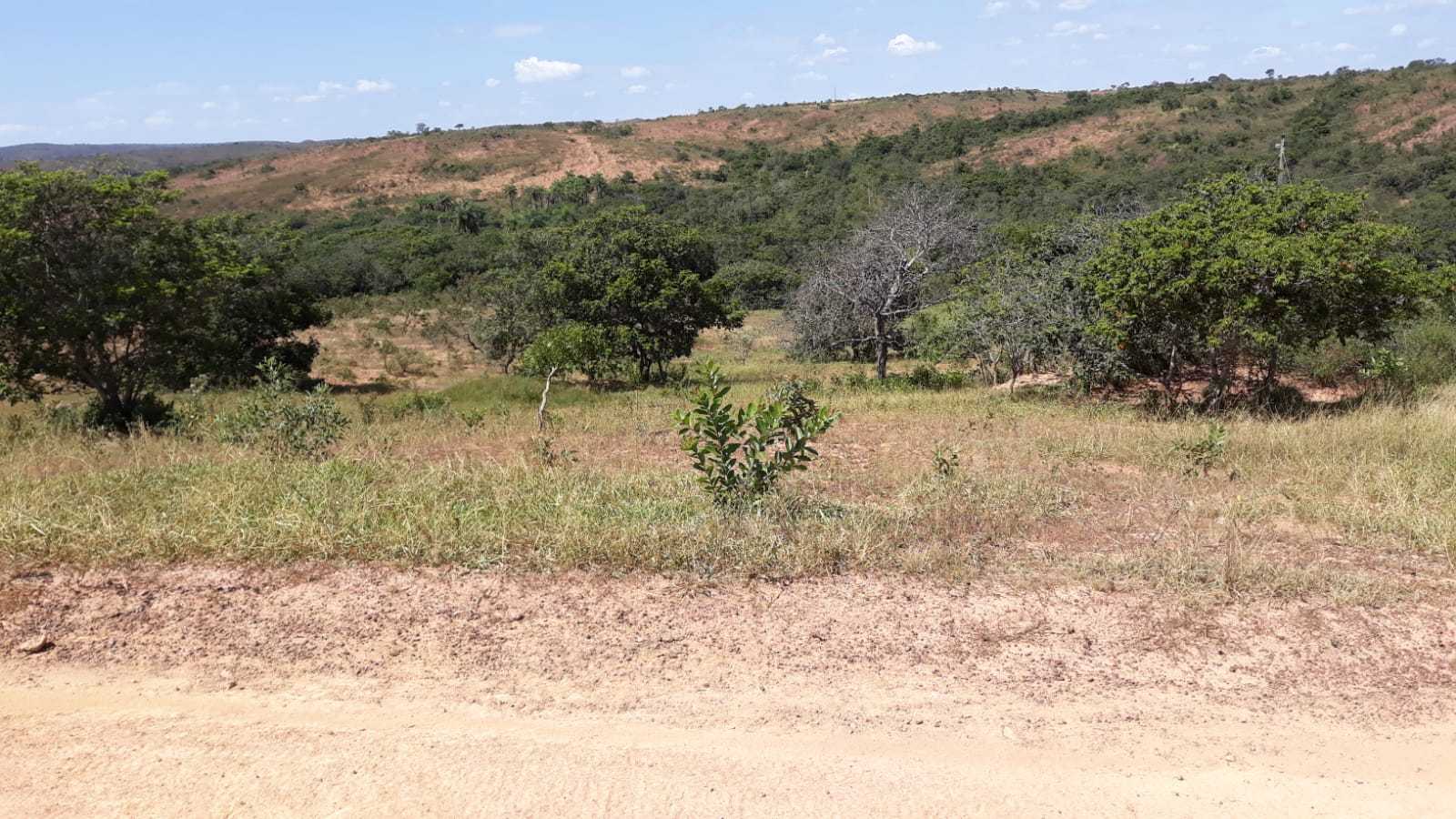 Chácara à venda com 3 quartos, 7520000m² - Foto 8