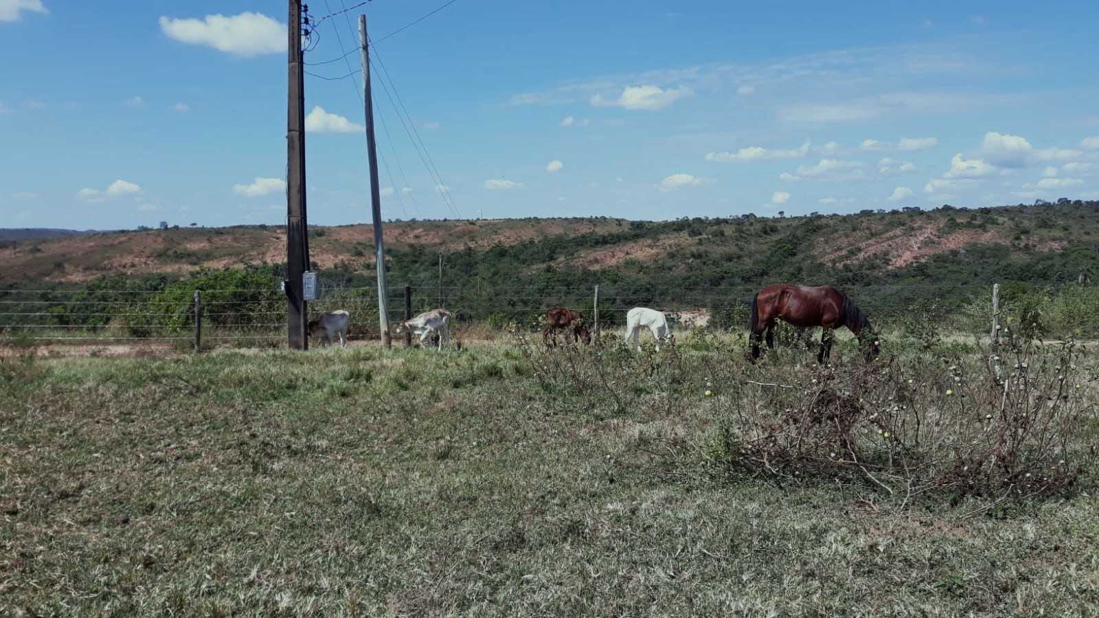 Chácara à venda com 3 quartos, 7520000m² - Foto 5