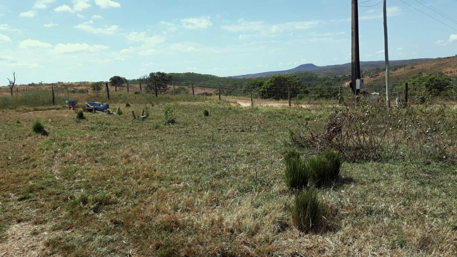 Chácara à venda com 3 quartos, 7520000m² - Foto 7