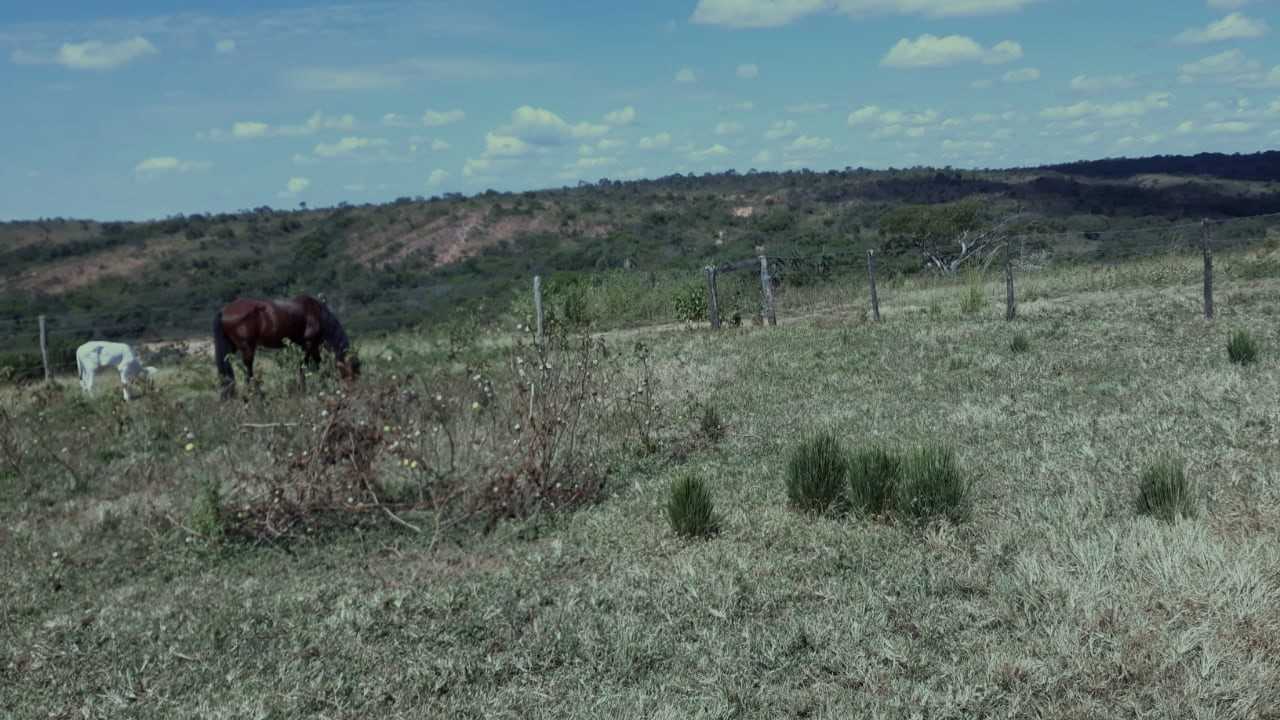 Chácara à venda com 3 quartos, 7520000m² - Foto 3