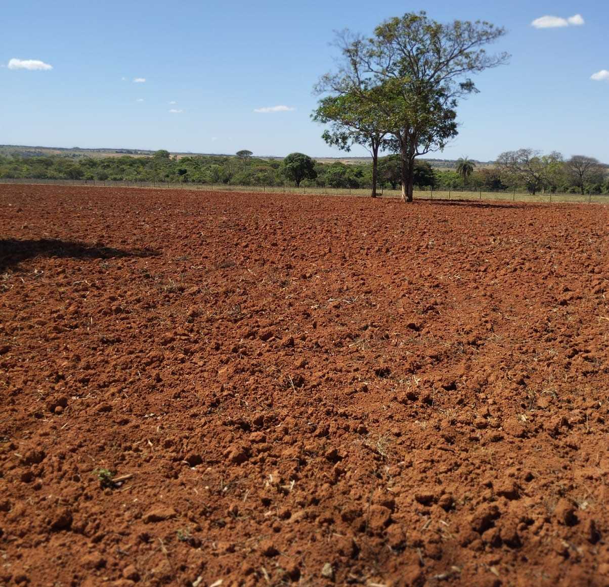 Chácara à venda com 4 quartos, 200000m² - Foto 13