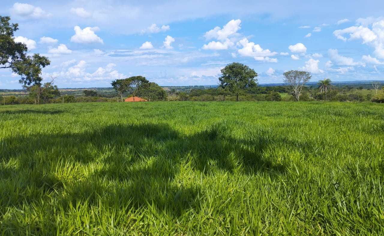 Chácara à venda com 4 quartos, 200000m² - Foto 15