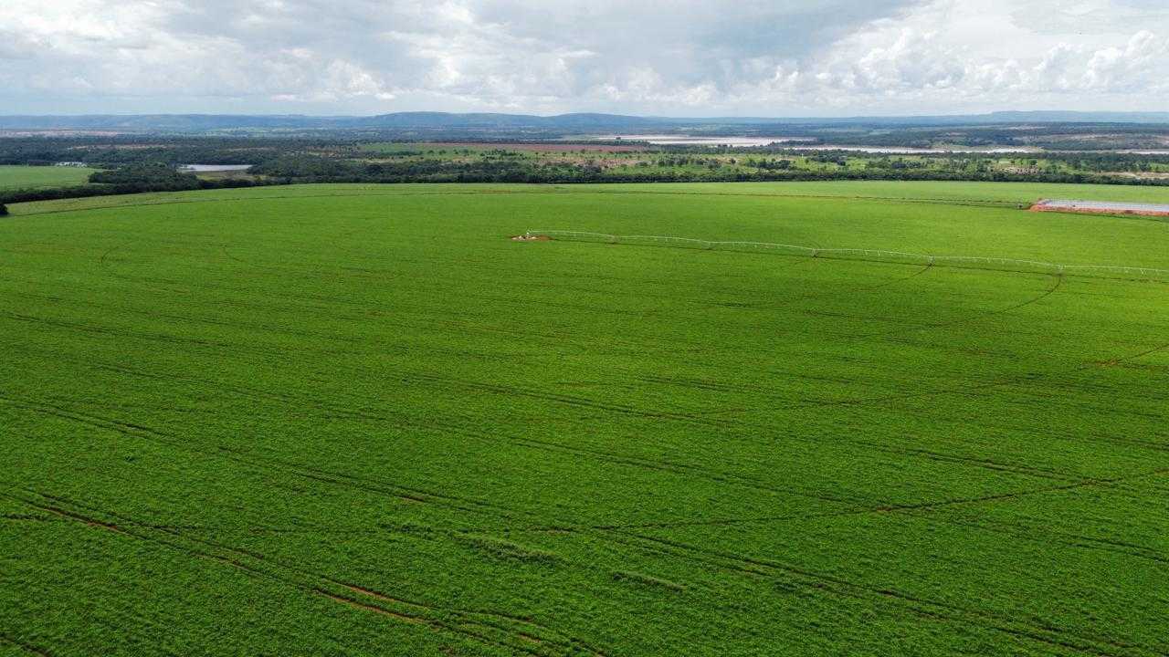 Chácara, 1 quarto, 818 hectares - Foto 1