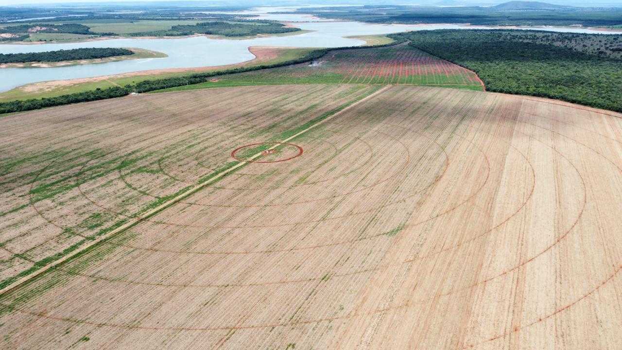 Chácara à venda com 1 quarto, 8180000m² - Foto 5