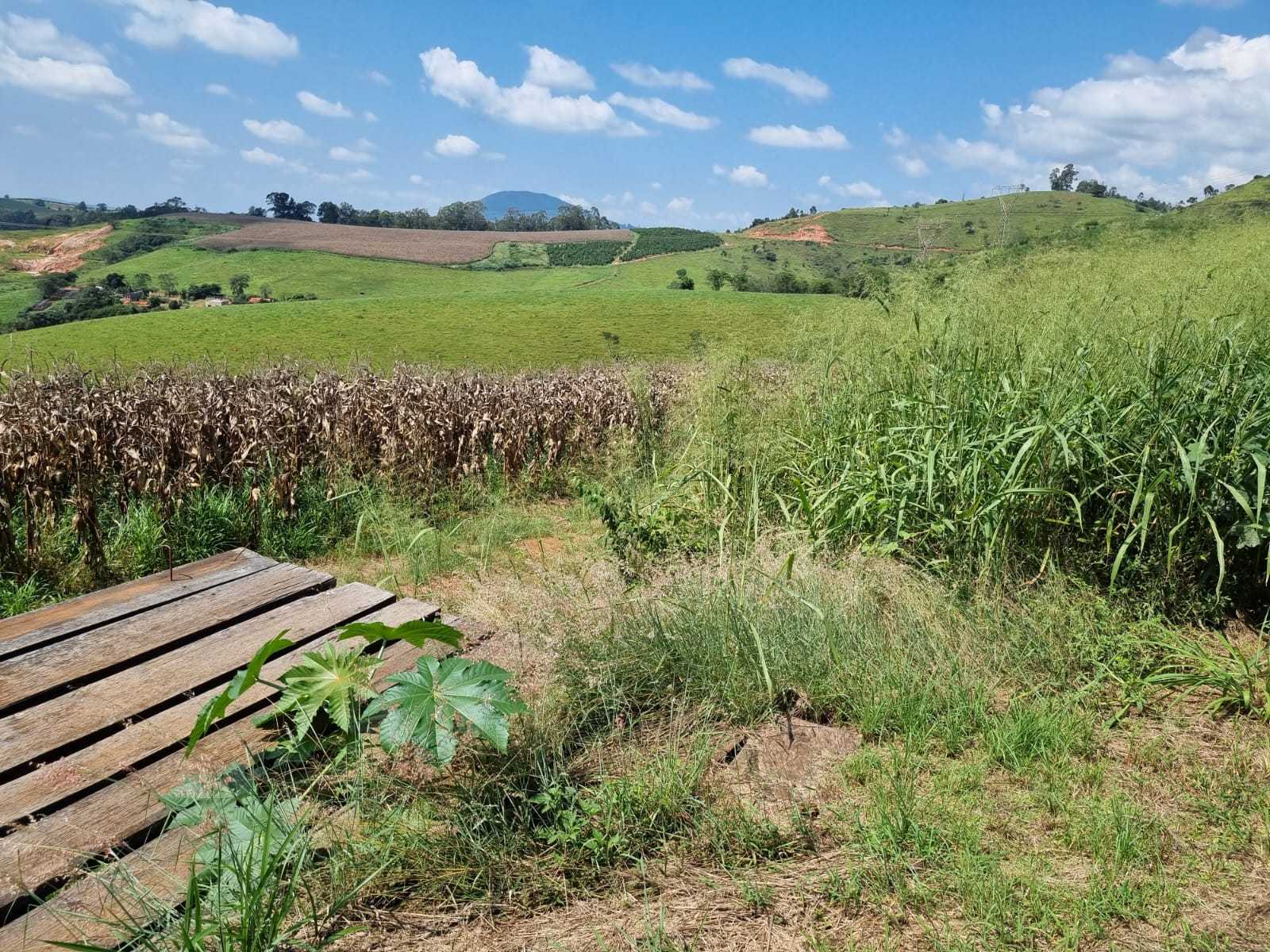 Chácara à venda com 3 quartos, 2260000m² - Foto 9