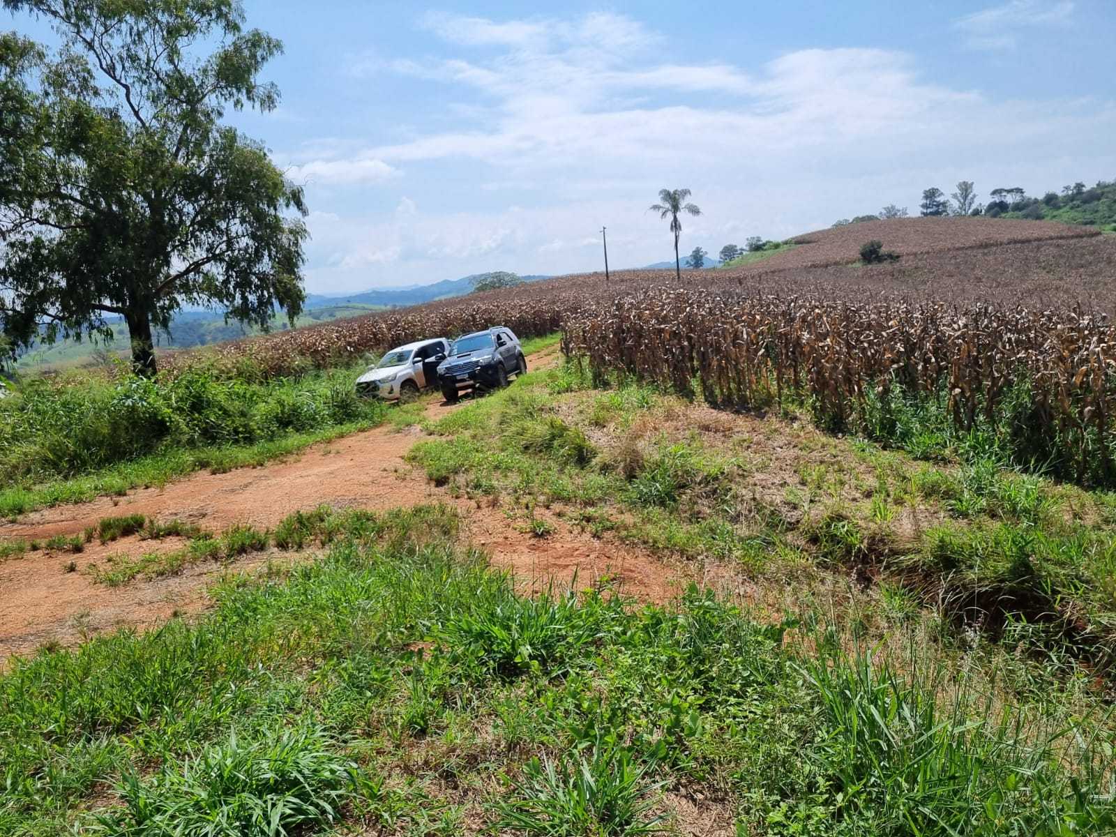 Chácara à venda com 3 quartos, 2260000m² - Foto 16