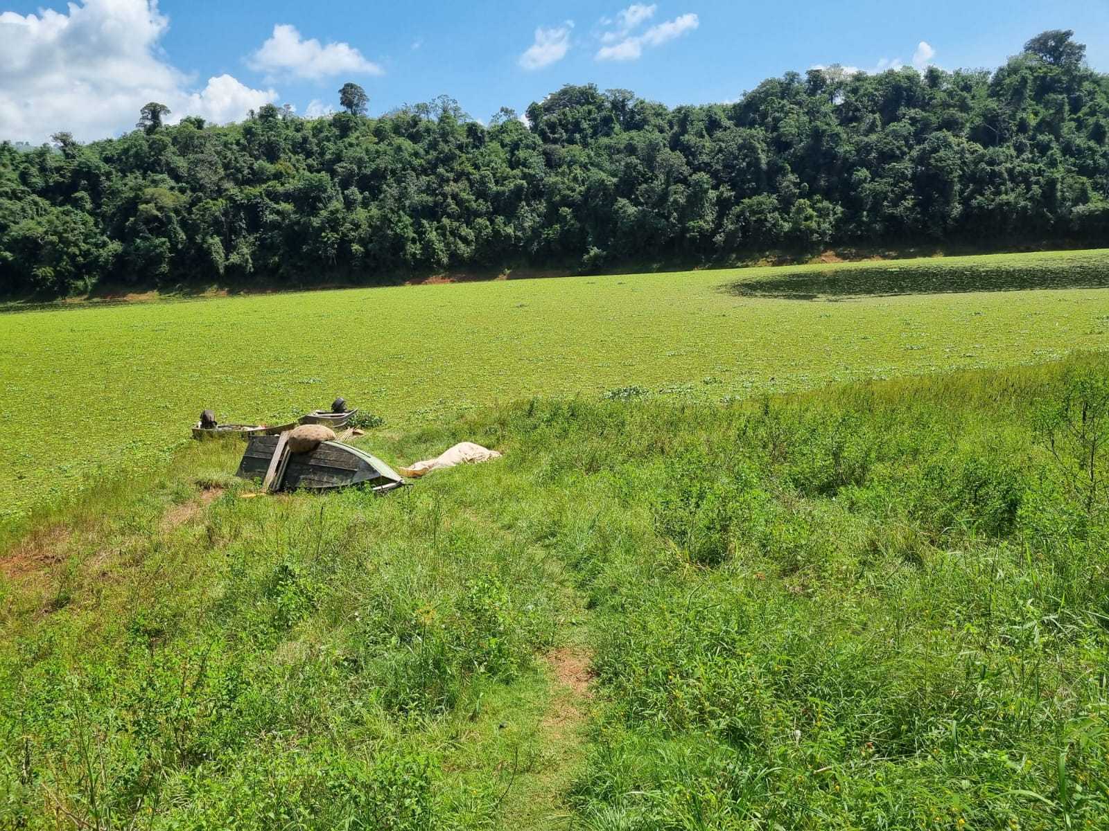 Chácara à venda com 3 quartos, 2260000m² - Foto 14