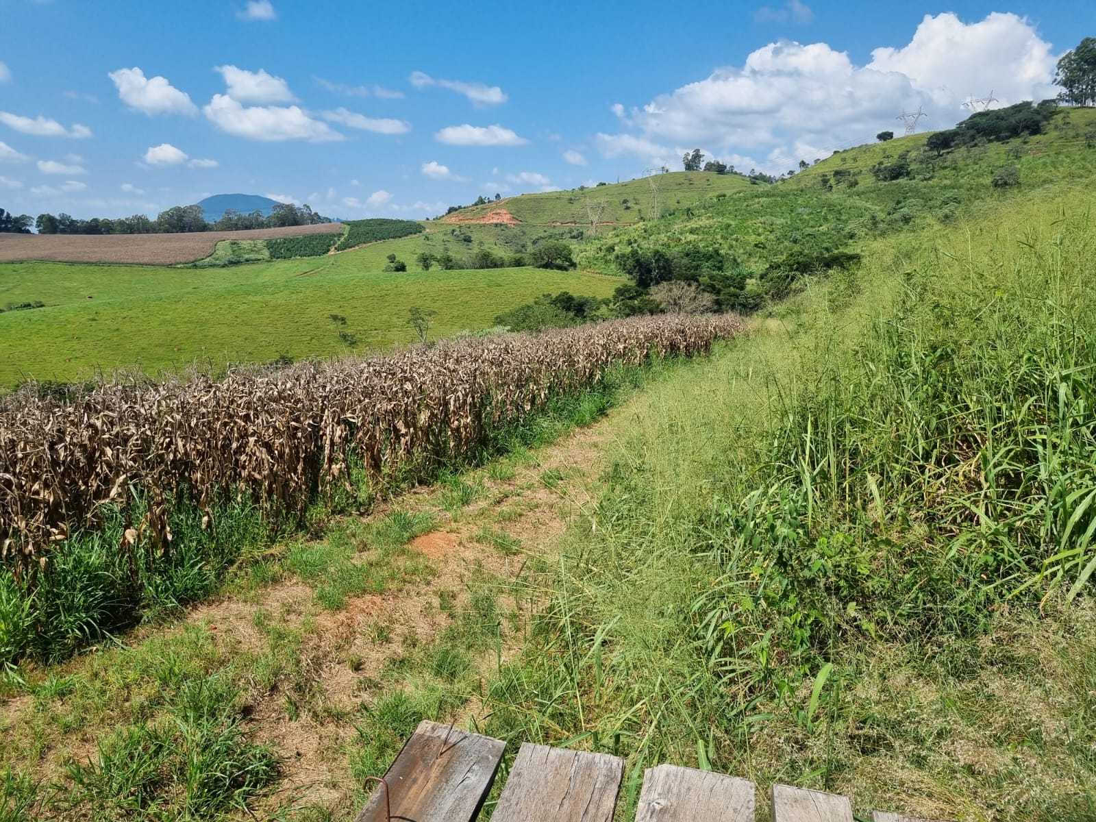 Chácara à venda com 3 quartos, 2260000m² - Foto 8