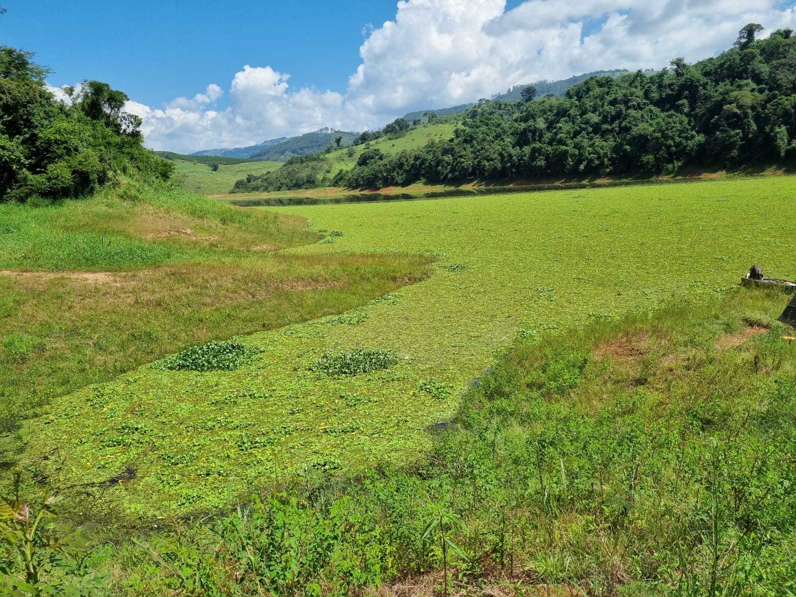 Chácara à venda com 3 quartos, 2260000m² - Foto 12