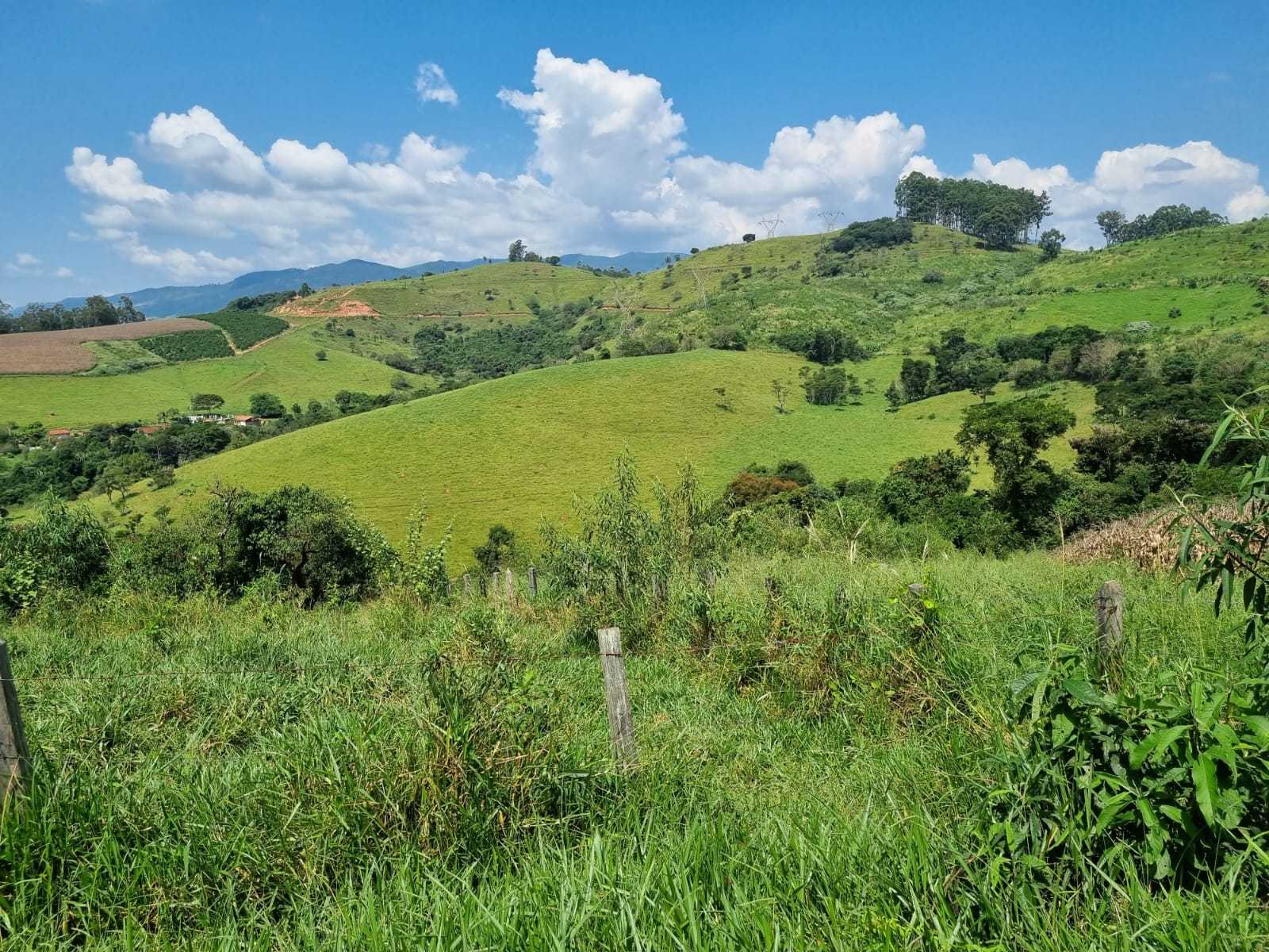 Chácara à venda com 3 quartos, 2260000m² - Foto 6