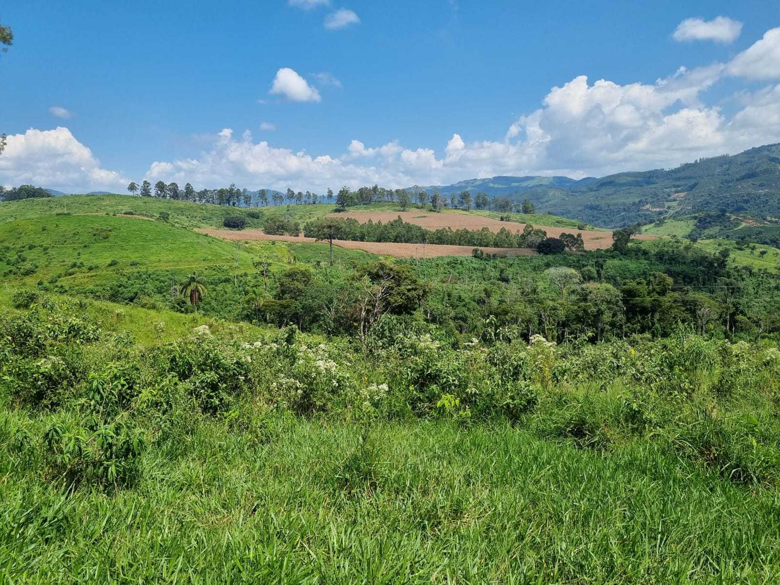 Chácara à venda com 3 quartos, 2260000m² - Foto 10