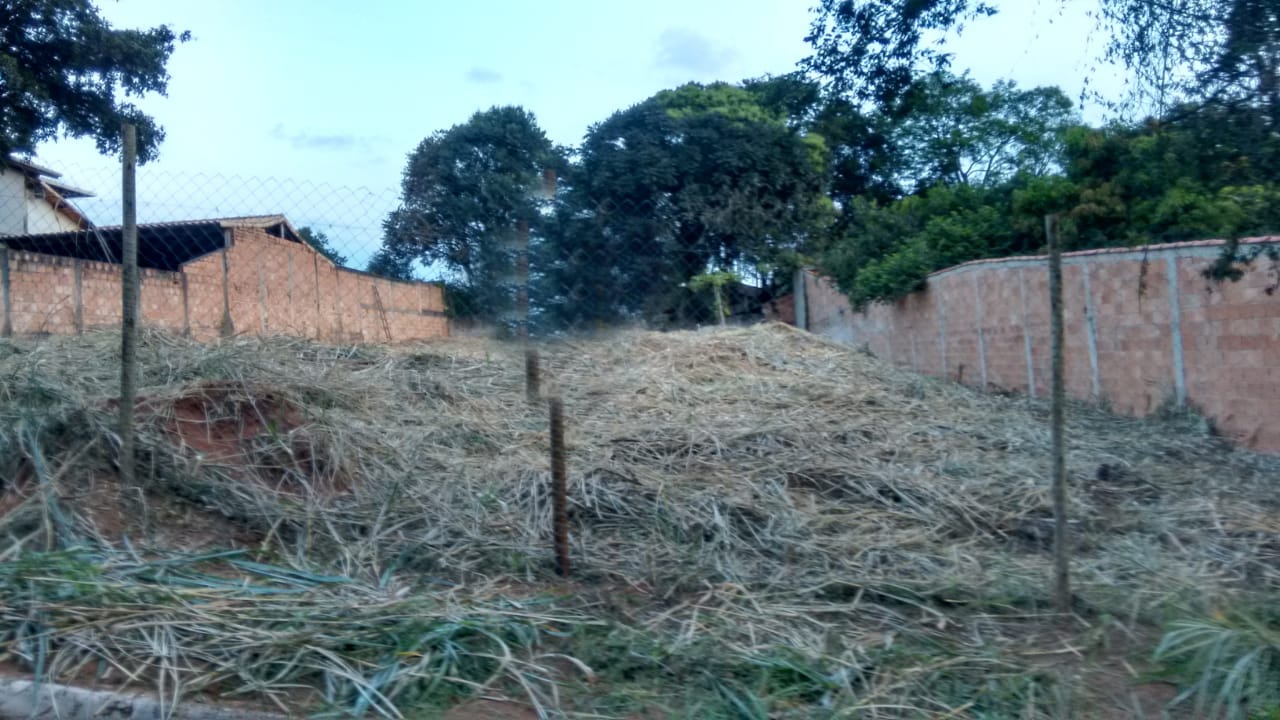 Terreno à venda, 1000m² - Foto 1