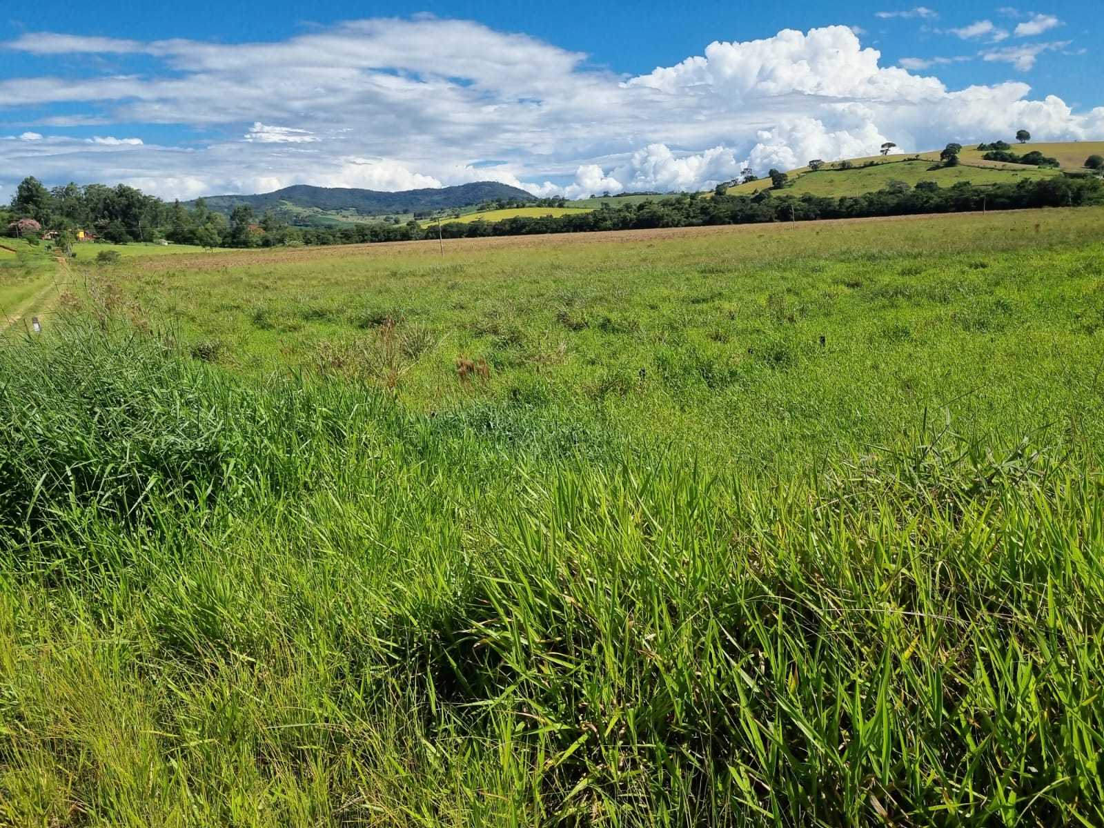 Chácara à venda com 1 quarto, 1000000m² - Foto 3