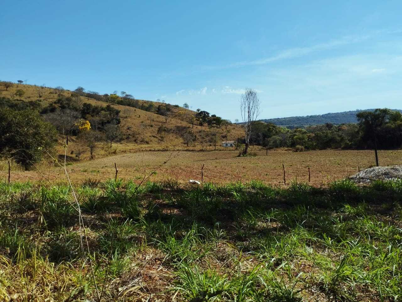 Chácara à venda com 3 quartos, 11100000m² - Foto 1